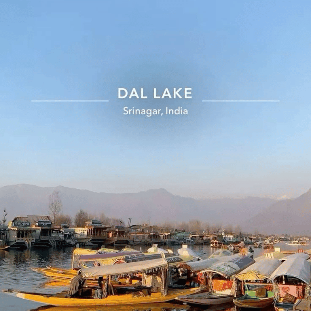 golden triangle tour package with ranthambore