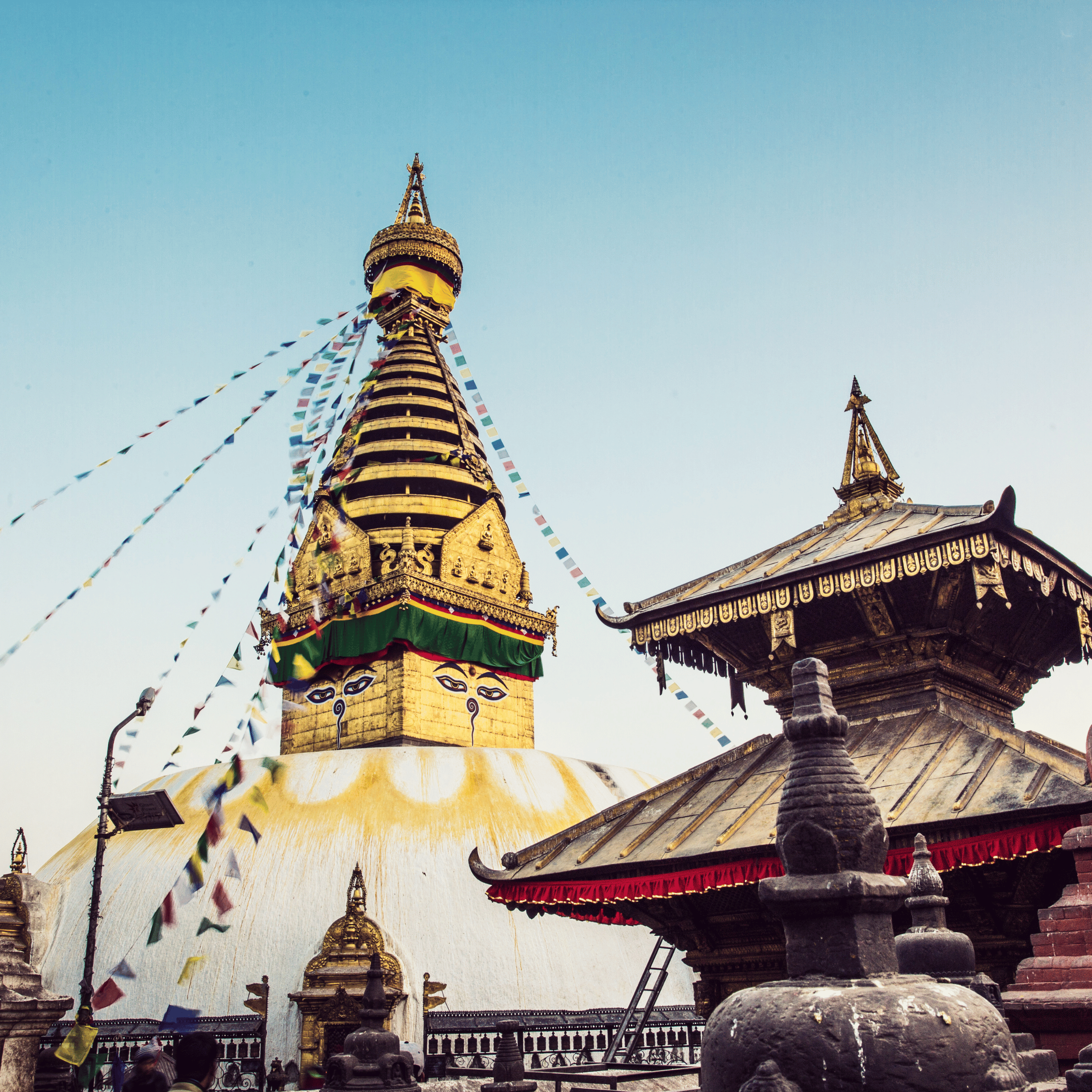 Delhi tour packages