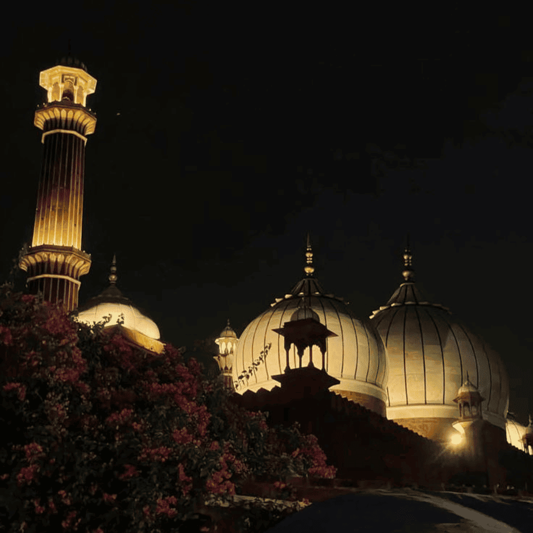 golden triangle tour package with ranthambore