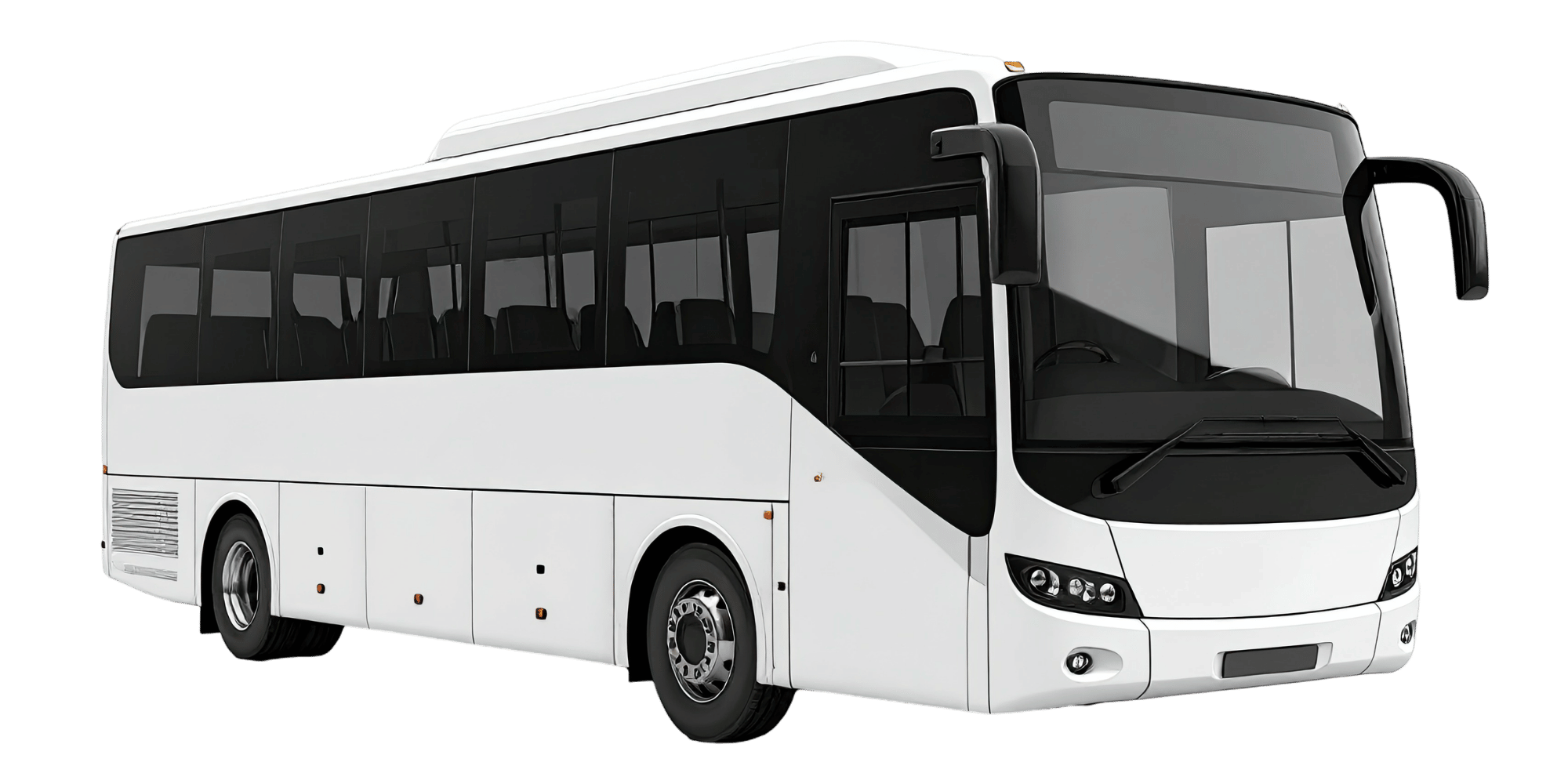 Mini bus for large group sightseeing tours India