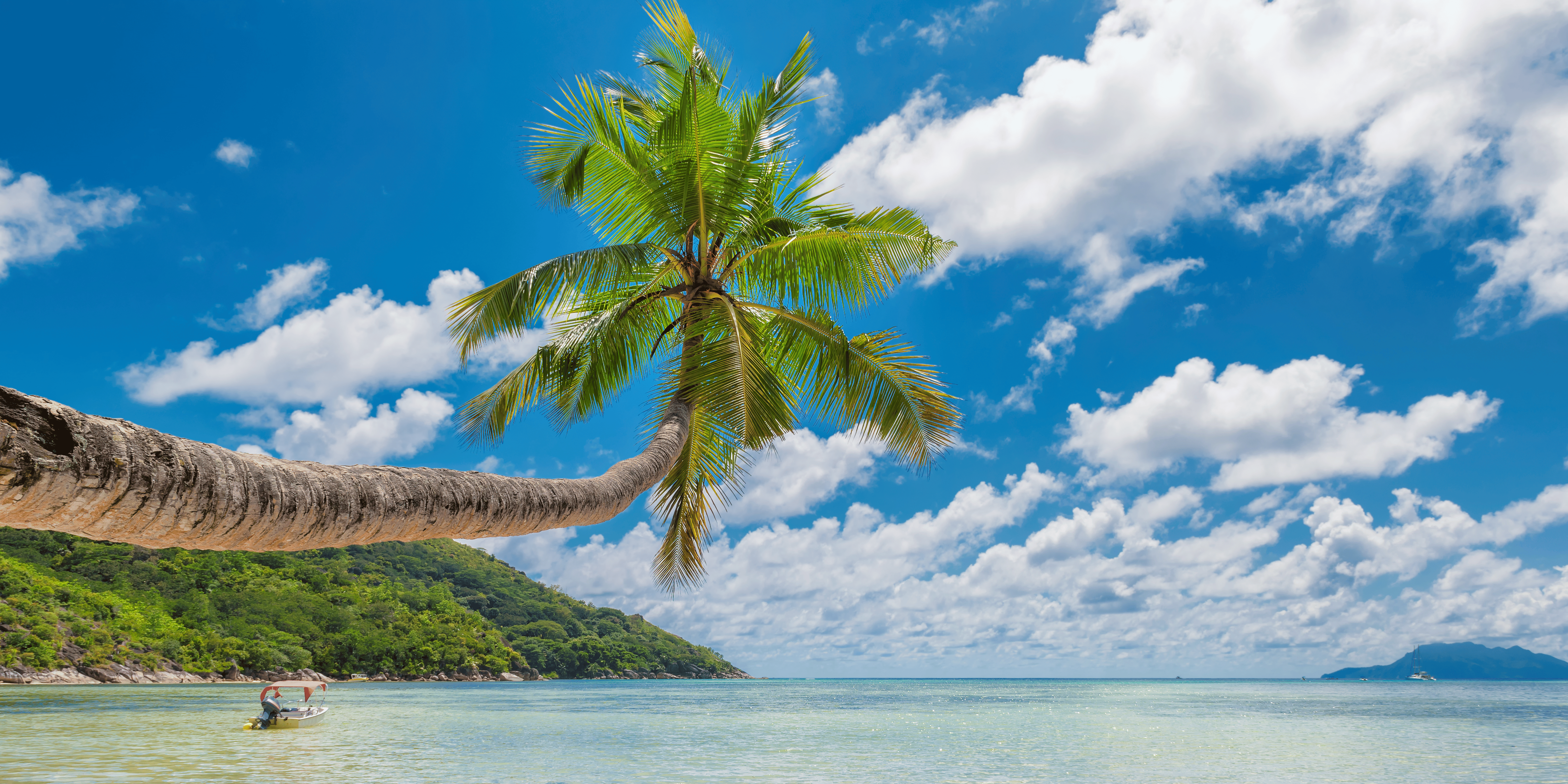 Honeymoon trips<br />

