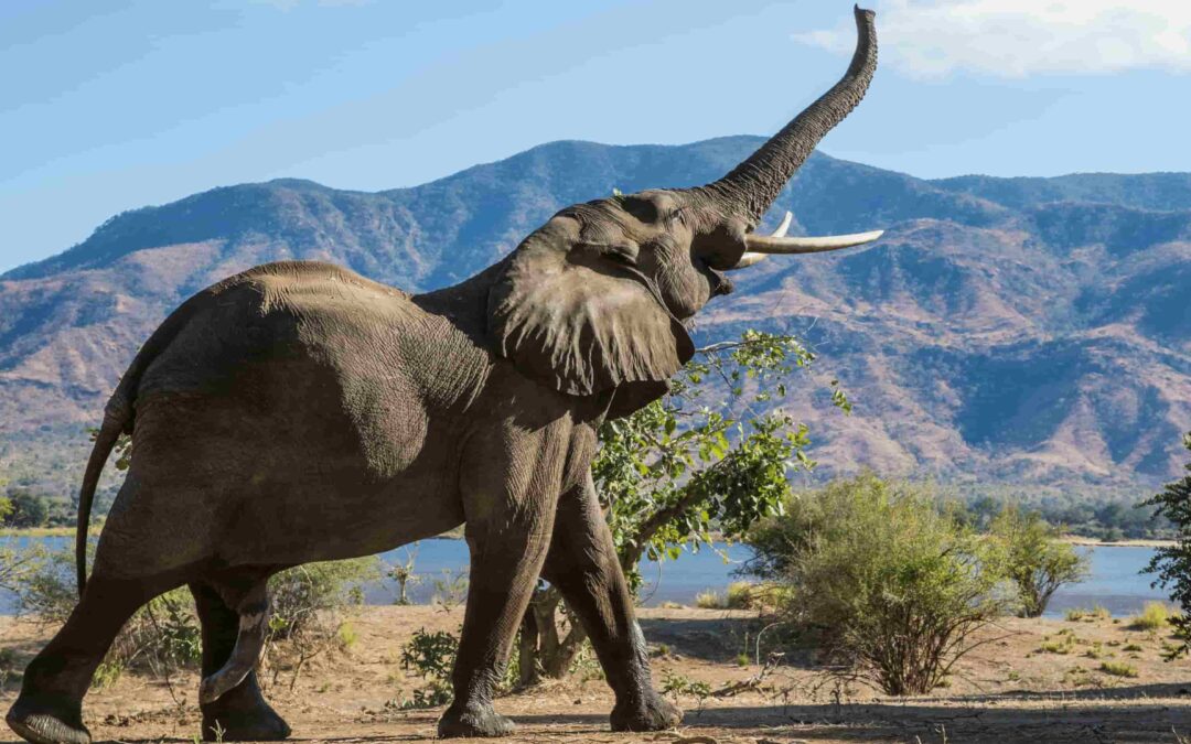 Reasons Why You Should Explore India With Tour Advisor India