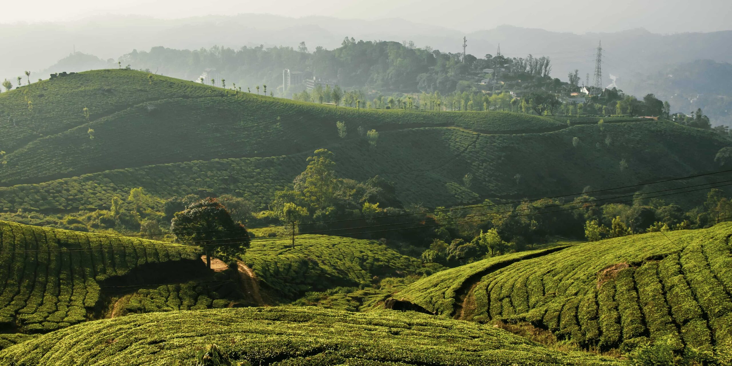 munnar tour package 2 nights tea gardens kerala