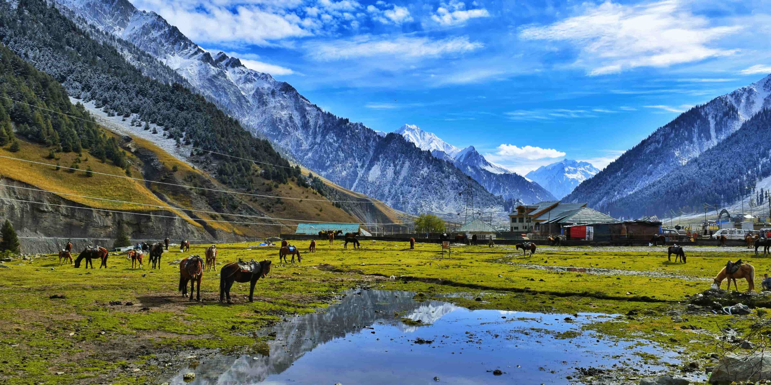 Kashmir Family Delight Tour Package - 7N/6D Srinagar Gulmarg Pahalgam