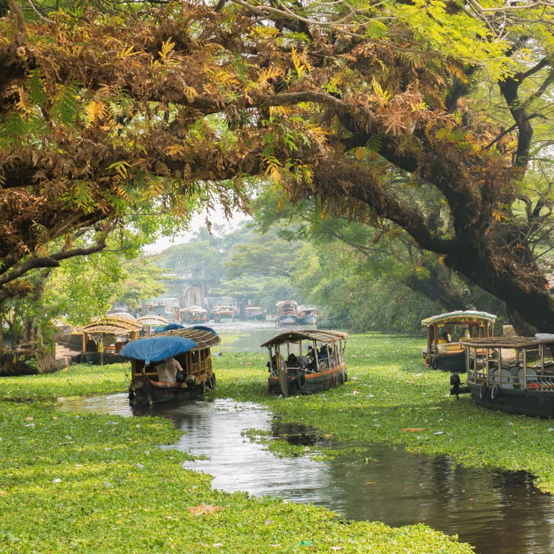 kerala tour packages god's own country tour advisor india