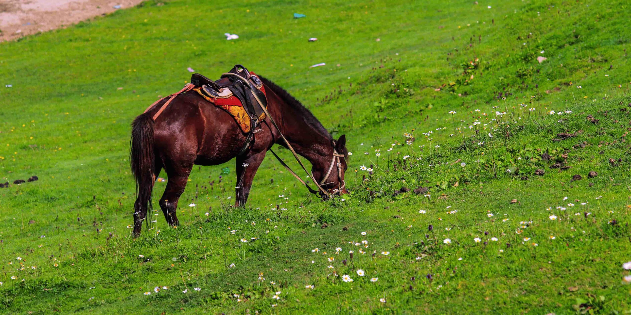 Luxury Kashmir Retreat Tour Package - 8N/9D premium Kashmir tour
