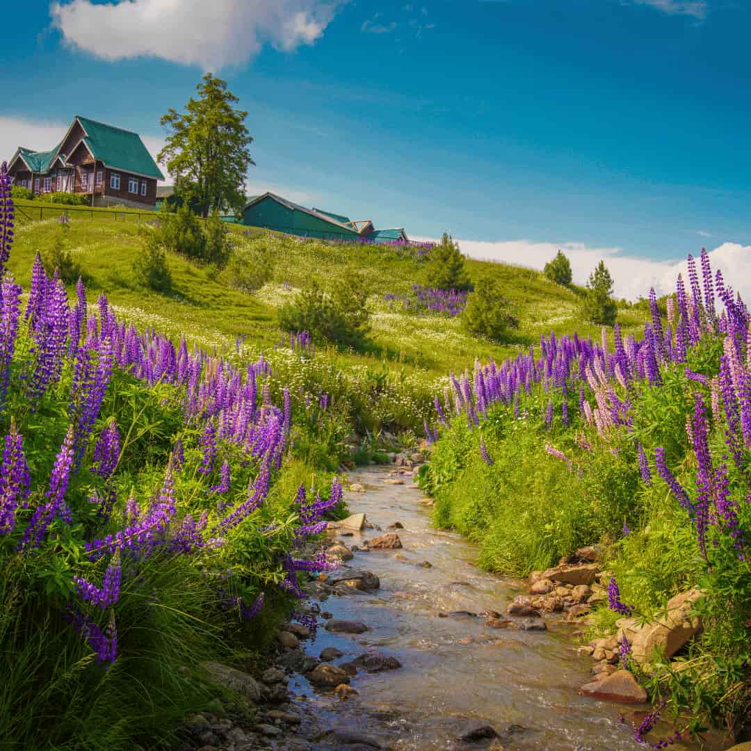 Kashmir Tour Packages - Srinagar Dal Lake and Himalayan mountains view