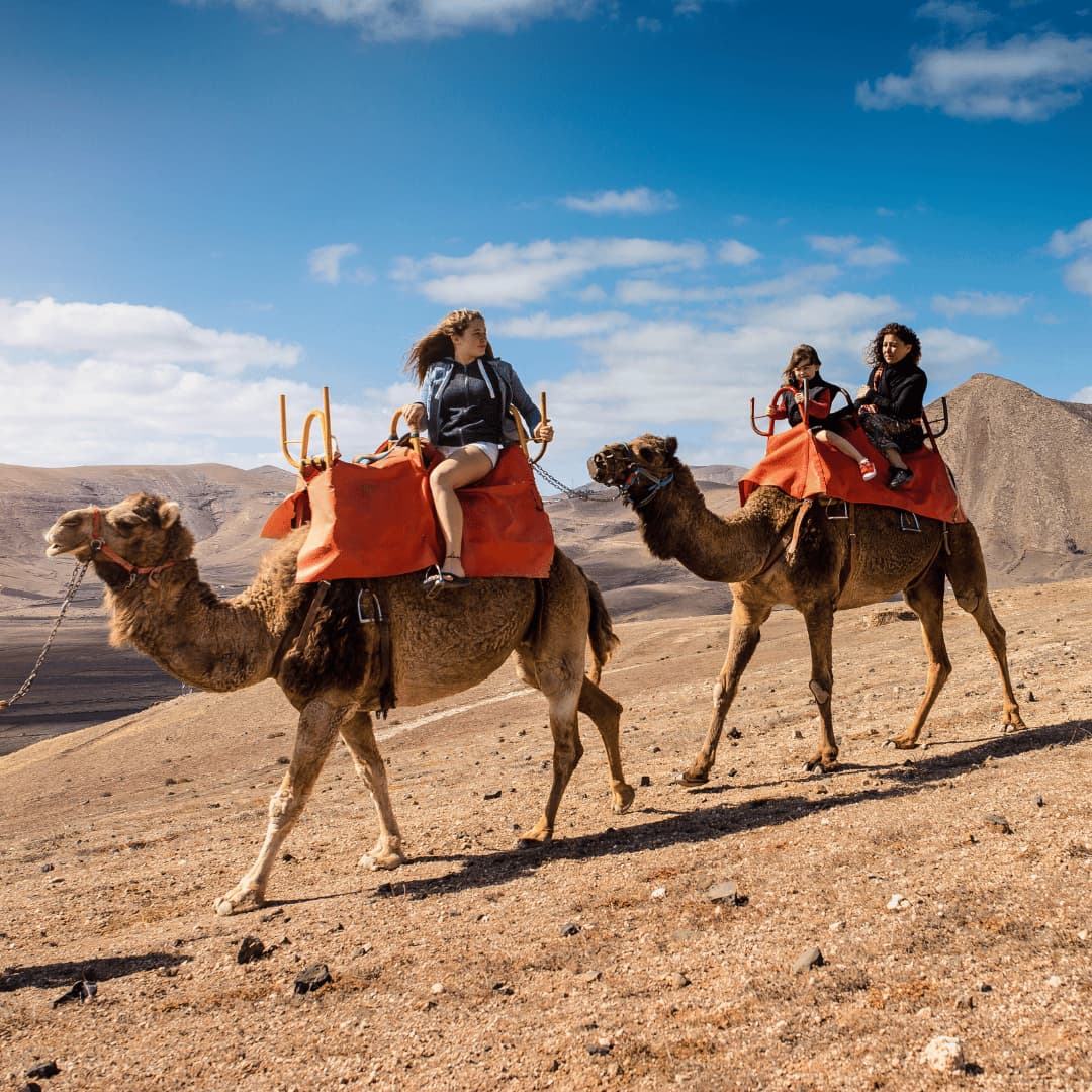 rajasthan heritage tour package desert safari jaisalmer