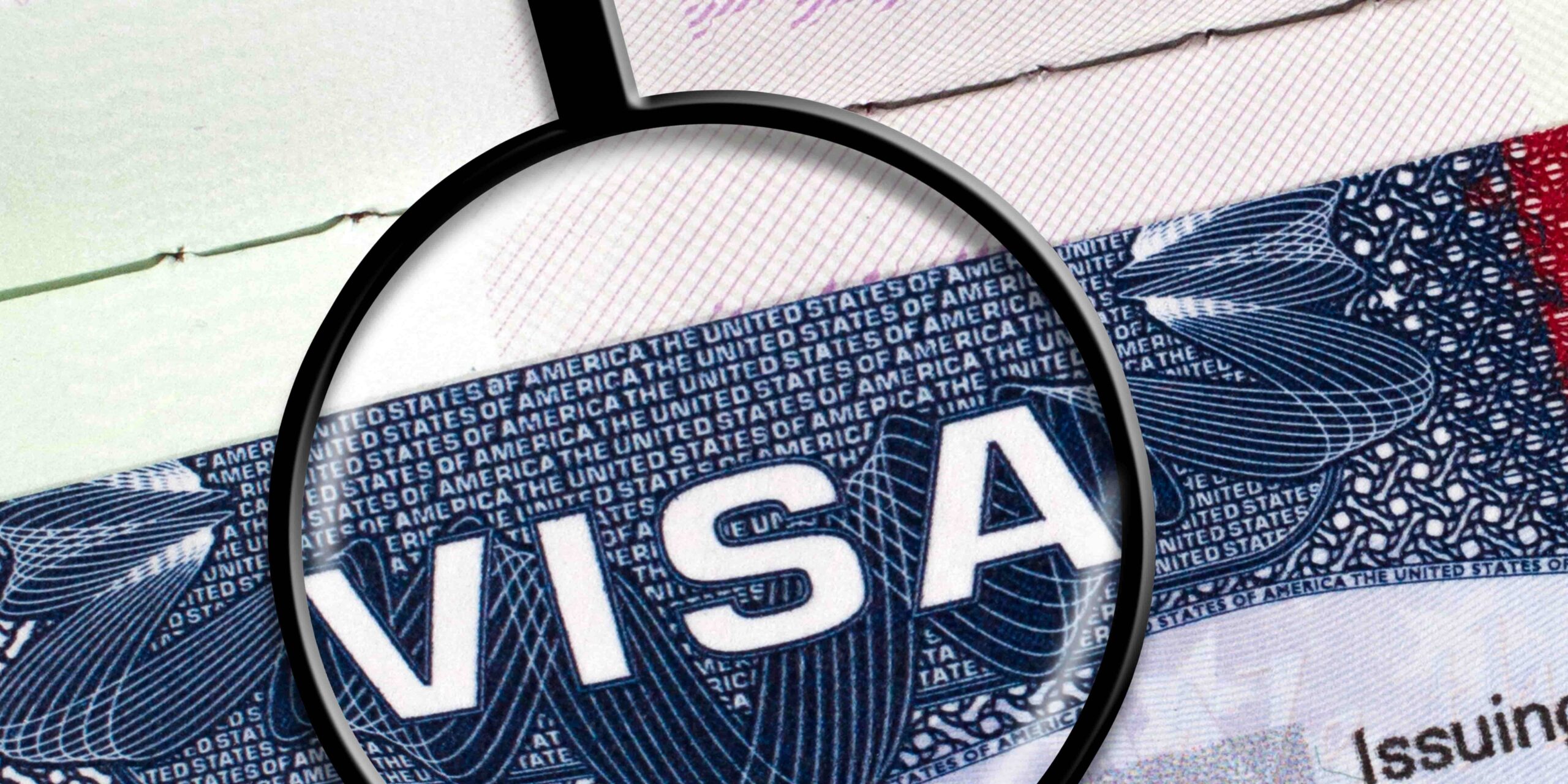 is india safe for european tourists
