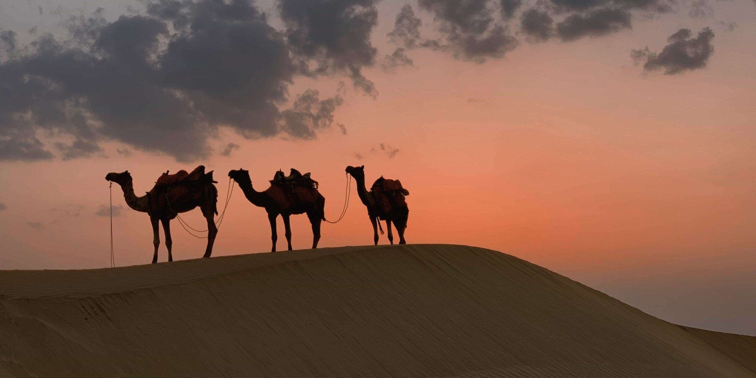 Best family tour packages in India